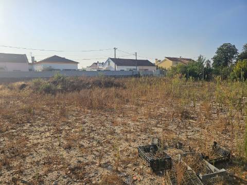 EXCLUSIVO - Terreno urbano para construção com 1170m2 - Brejos do Assa(Setúbal)