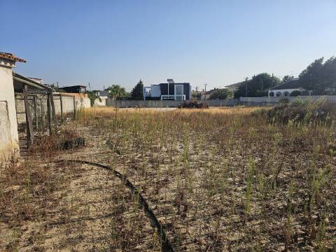 EXCLUSIVO - Terreno urbano para construção com 1170m2 - Brejos do Assa(Setúbal)