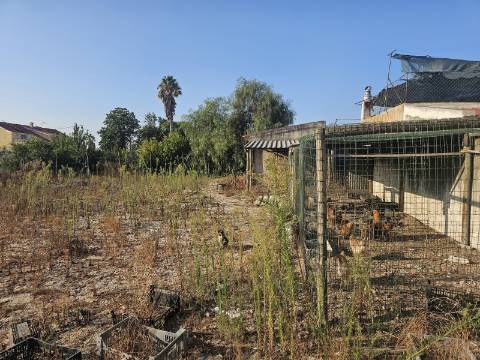 EXCLUSIVO - Terreno urbano para construção com 1170m2 - Brejos do Assa(Setúbal)