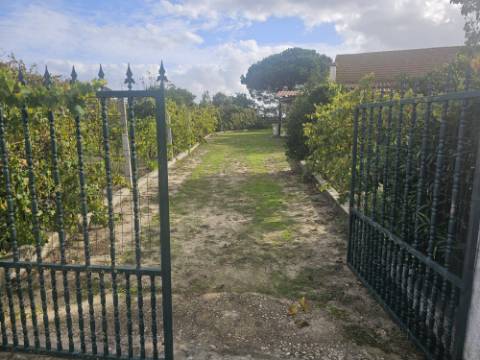 EXCLUSIVO - Quinta com 2069 m2, T1 e um armazém - Asseiceira(Palmela)