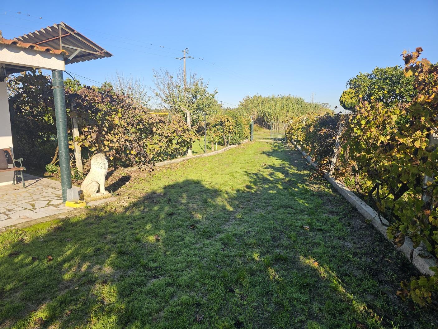 EXCLUSIVO - Quinta com 2069 m2, T1 e um armazém - Asseiceira(Palmela)