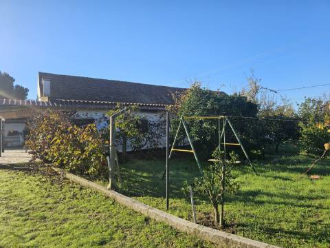 EXCLUSIVO - Quinta com 2069 m2, T1 e um armazém - Asseiceira(Palmela)