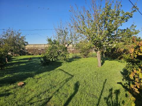 EXCLUSIVO - Quinta com 2069 m2, T1 e um armazém - Asseiceira(Palmela)