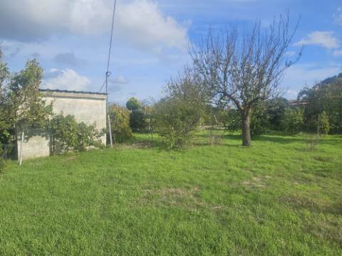 EXCLUSIVO - Quinta com 2069 m2, T1 e um armazém - Asseiceira(Palmela)