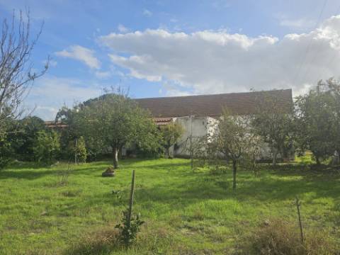 EXCLUSIVO - Quinta com 2069 m2, T1 e um armazém - Asseiceira(Palmela)