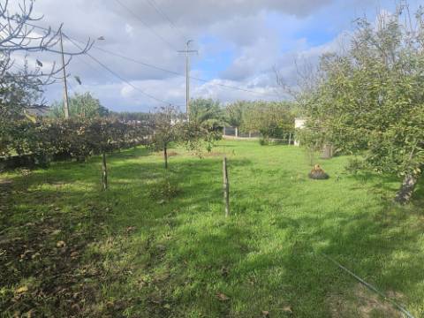 EXCLUSIVO - Quinta com 2069 m2, T1 e um armazém - Asseiceira(Palmela)