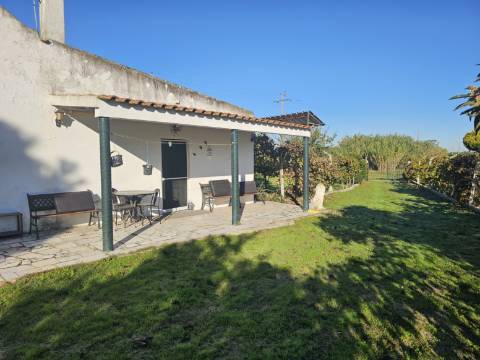 EXCLUSIVO - Quinta com 2069 m2, T1 e um armazém - Asseiceira(Palmela)