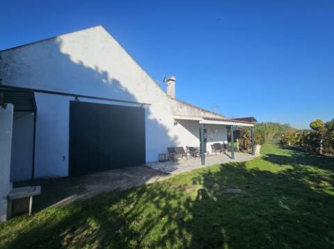 EXCLUSIVO - Quinta com 2069 m2, T1 e um armazém - Asseiceira(Palmela)