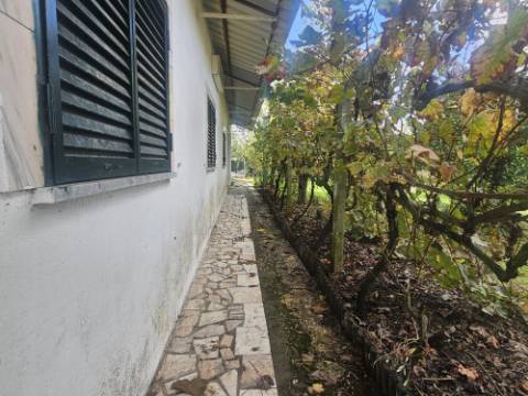 EXCLUSIVO - Quinta com 2069 m2, T1 e um armazém - Asseiceira(Palmela)