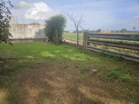 EXCLUSIVO - Quinta com 2069 m2, T1 e um armazém - Asseiceira(Palmela)