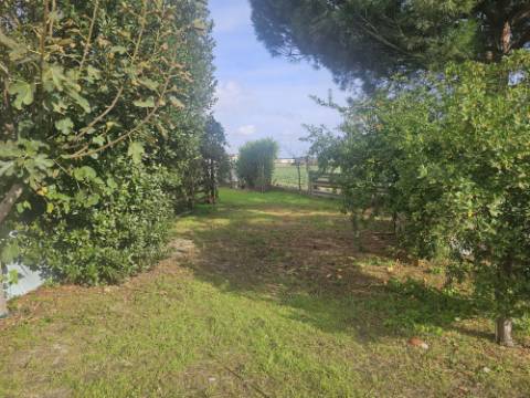 EXCLUSIVO - Quinta com 2069 m2, T1 e um armazém - Asseiceira(Palmela)