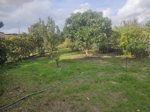 EXCLUSIVO - Quinta com 2069 m2, T1 e um armazém - Asseiceira(Palmela)