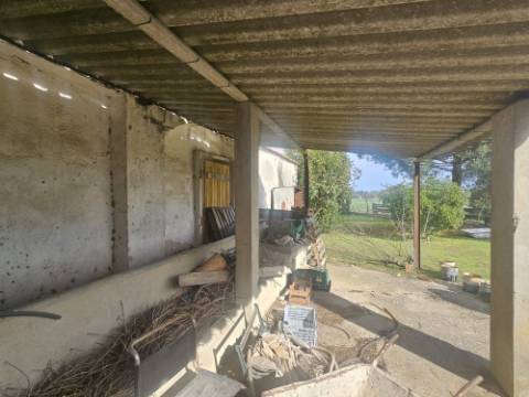 EXCLUSIVO - Quinta com 2069 m2, T1 e um armazém - Asseiceira(Palmela)