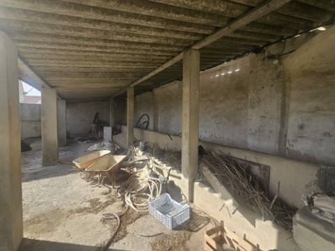 EXCLUSIVO - Quinta com 2069 m2, T1 e um armazém - Asseiceira(Palmela)