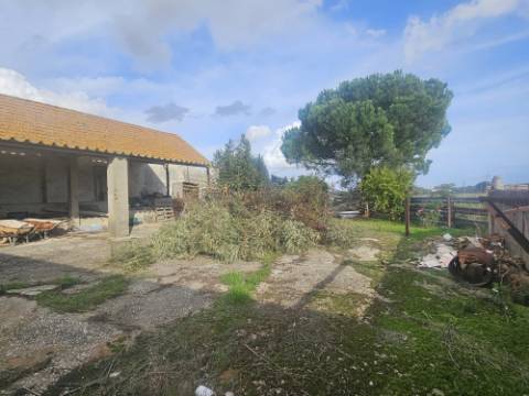 EXCLUSIVO - Quinta com 2069 m2, T1 e um armazém - Asseiceira(Palmela)