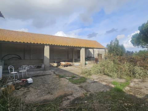 EXCLUSIVO - Quinta com 2069 m2, T1 e um armazém - Asseiceira(Palmela)