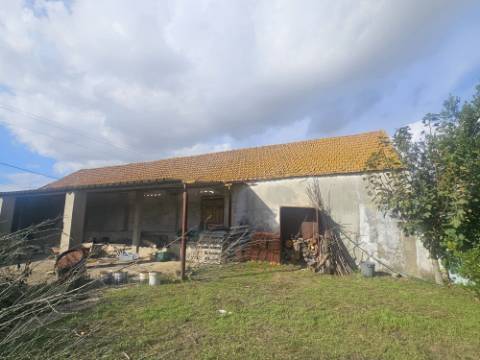 EXCLUSIVO - Quinta com 2069 m2, T1 e um armazém - Asseiceira(Palmela)