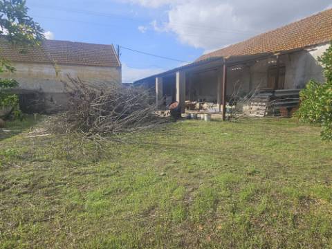 EXCLUSIVO - Quinta com 2069 m2, T1 e um armazém - Asseiceira(Palmela)