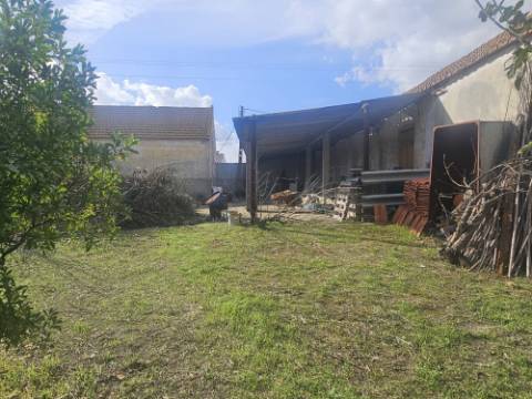 EXCLUSIVO - Quinta com 2069 m2, T1 e um armazém - Asseiceira(Palmela)