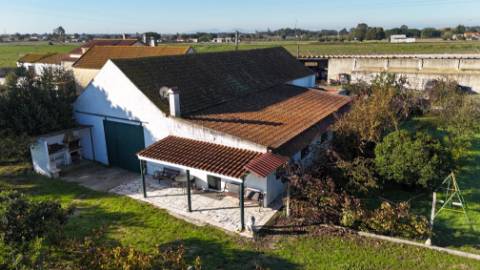 EXCLUSIVO - Quinta com 2069 m2, T1 e um armazém - Asseiceira(Palmela)