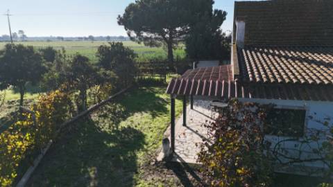 EXCLUSIVO - Quinta com 2069 m2, T1 e um armazém - Asseiceira(Palmela)