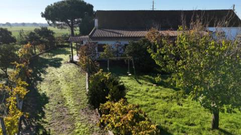 EXCLUSIVO - Quinta com 2069 m2, T1 e um armazém - Asseiceira(Palmela)