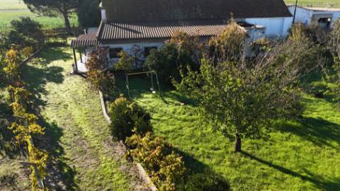 EXCLUSIVO - Quinta com 2069 m2, T1 e um armazém - Asseiceira(Palmela)