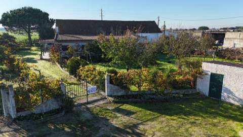 EXCLUSIVO - Quinta com 2069 m2, T1 e um armazém - Asseiceira(Palmela)