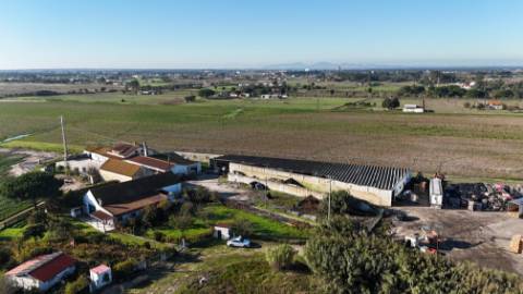 EXCLUSIVO - Quinta com 2069 m2, T1 e um armazém - Asseiceira(Palmela)