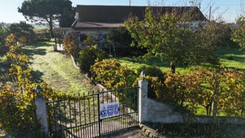 EXCLUSIVO - Quinta com 2069 m2, T1 e um armazém - Asseiceira(Palmela)