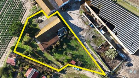 EXCLUSIVO - Quinta com 2069 m2, T1 e um armazém - Asseiceira(Palmela)
