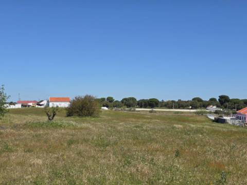 EXCLUSIVO - Terreno rústico com 13.200 m2 e viabilidade de construção - Gâmbia(Setúbal)