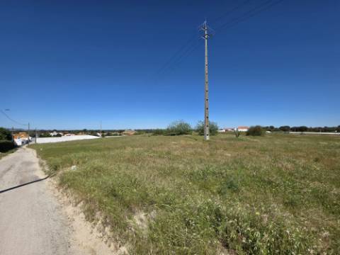 EXCLUSIVO - Terreno rústico com 13.200 m2 e viabilidade de construção - Gâmbia(Setúbal)