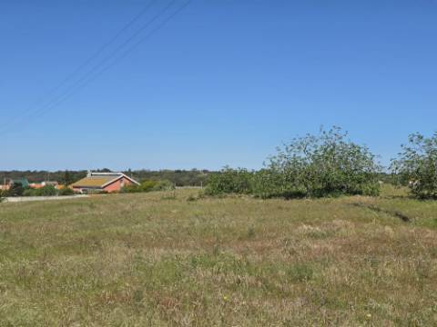 EXCLUSIVO - Terreno rústico com 13.200 m2 e viabilidade de construção - Gâmbia(Setúbal)