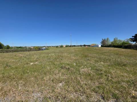 EXCLUSIVO - Terreno rústico com 13.200 m2 e viabilidade de construção - Gâmbia(Setúbal)