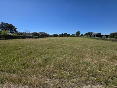 EXCLUSIVO - Terreno rústico com 13.200 m2 e viabilidade de construção - Gâmbia(Setúbal)