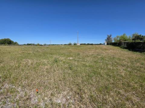 EXCLUSIVO - Terreno rústico com 13.200 m2 e viabilidade de construção - Gâmbia(Setúbal)