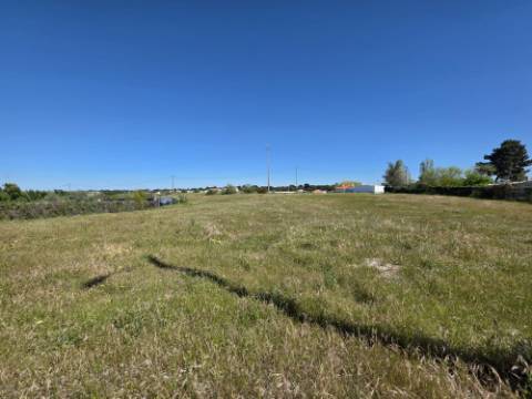 EXCLUSIVO - Terreno rústico com 13.200 m2 e viabilidade de construção - Gâmbia(Setúbal)