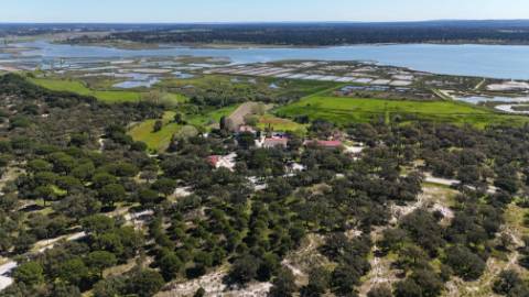 EXCLUSIVO - Terreno rústico com 13.200 m2 e viabilidade de construção - Gâmbia(Setúbal)