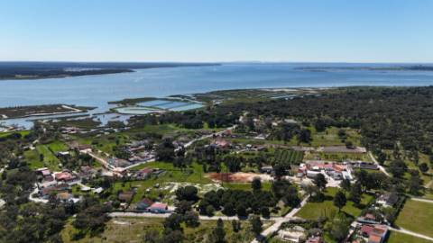 EXCLUSIVO - Terreno rústico com 13.200 m2 e viabilidade de construção - Gâmbia(Setúbal)
