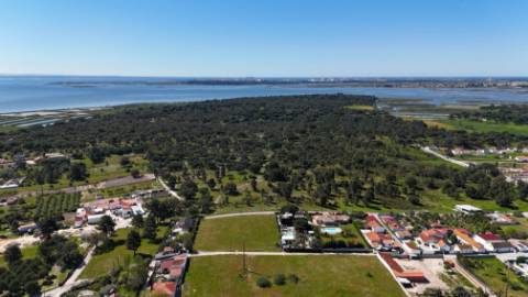 EXCLUSIVO - Terreno rústico com 13.200 m2 e viabilidade de construção - Gâmbia(Setúbal)