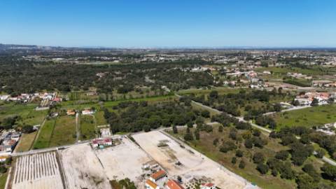 EXCLUSIVO - Terreno rústico com 13.200 m2 e viabilidade de construção - Gâmbia(Setúbal)