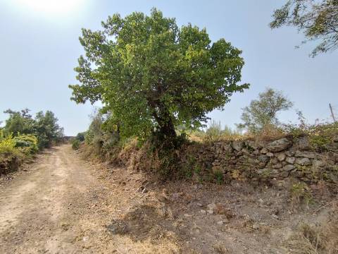 Casa de 2 pisos com terreno de 17400 m2