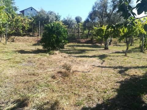 Terreno para Construção