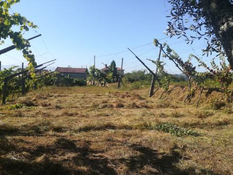 Terreno para Construção