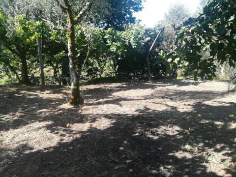 Terreno para Construção