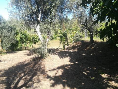 Terreno para Construção