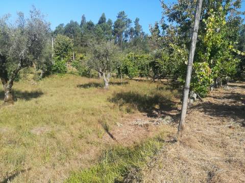 Terreno para Construção