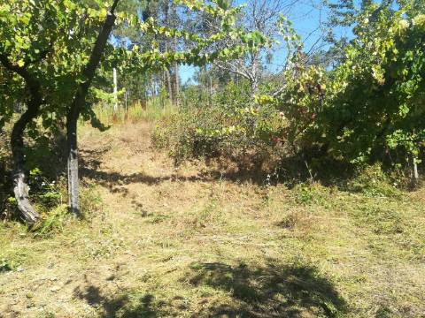 Terreno para Construção