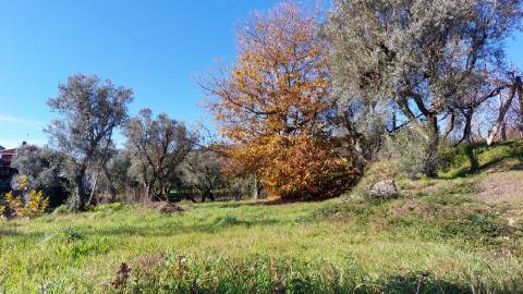 Terreno para construção